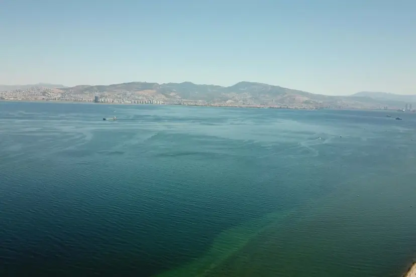  EGE VE AKDENİZ'DE EGZOTİK BALIK TÜRLERİ ÇOĞALDI