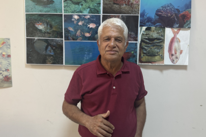 AKDENİZ FOKLARI MAVİ MAĞARA’DA GÖRÜNTÜLENDİ! GÖKOĞLU’NDAN KRİTİK UYARI