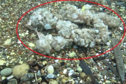 AKDENİZ ÜNİVERSİTESİNDEN KRİTİK UYARI