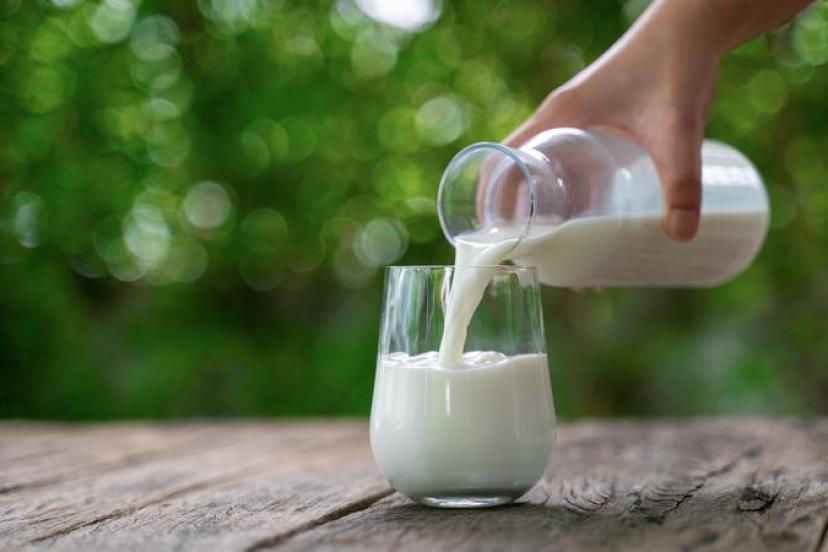 ANTALYA, ULUSAL SÜT ZİRVESİ’NE EV SAHİPLİĞİ YAPIYOR