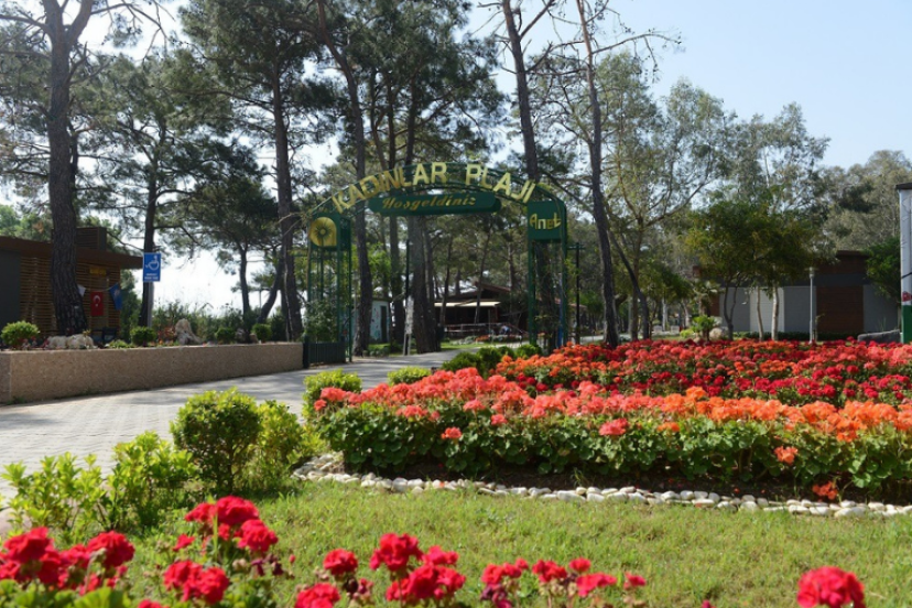 SARISU PLAJI’NDA NÜFUZ İDDİALARI