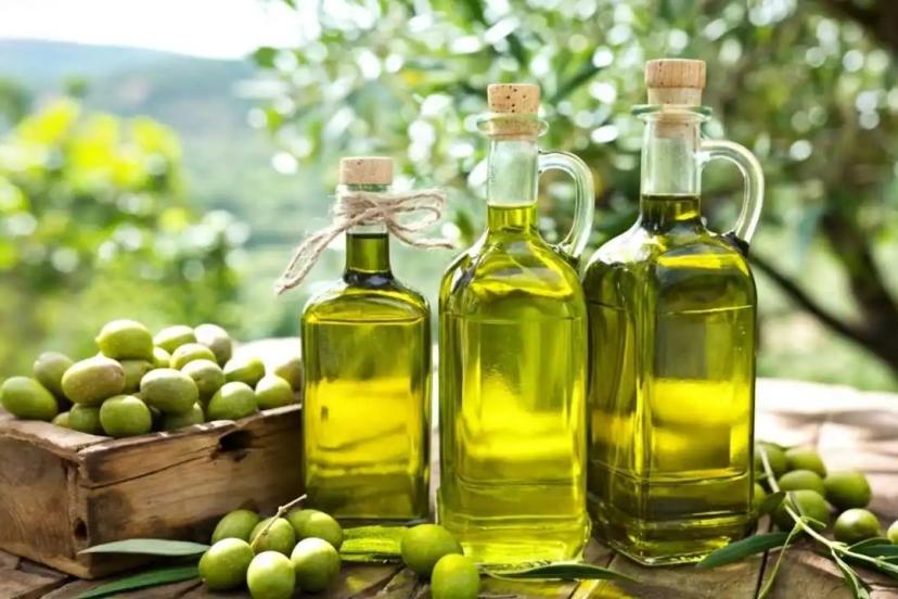 ANTALYA’DA ZEYTİN VE ZEYTİNYAĞI YARIŞI BAŞLIYOR