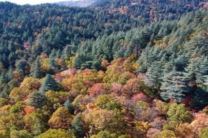 ISPARTA’NIN GİZLİ CENNETİ: KASNAK MEŞESİ ORMANINA İZİNSİZ GİRİŞE DEV CEZA