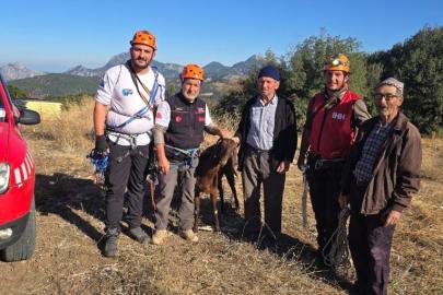 KAYA OYUĞUNDA MAHSUR KALAN KEÇİ KURTARILDI