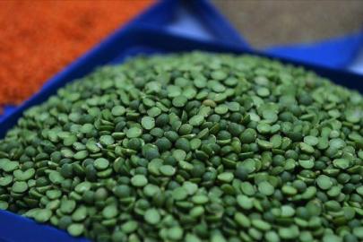 YEŞİL MERCİMEK VE YULAFTA GÜMRÜK VERGİSİ DÜŞÜRÜLDÜ