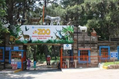 ANTALYA DOĞAL YAŞAM PARKI 4 GÜN SÜREYLE ZİYARETE KAPATILDI