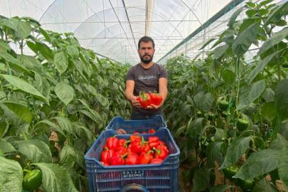 ANTALYA TARIMINDA TEHLİKE ÇANLARI ÇALIYOR