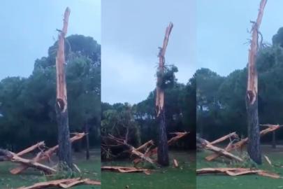 BELEK’TE GECENİN ORTASINDA YILDIRIM DEHŞETİ!