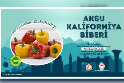 KALİFORNİYA BİBERİ İÇİN COĞRAFİ İŞARET HAMLESİ