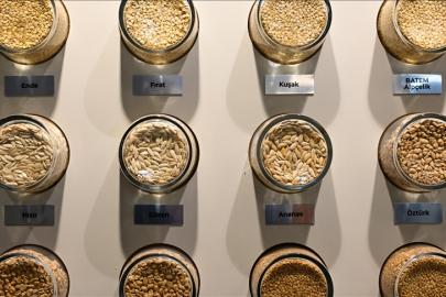 ANTALYA’DAN DÜNYAYA YERLİ TOHUM