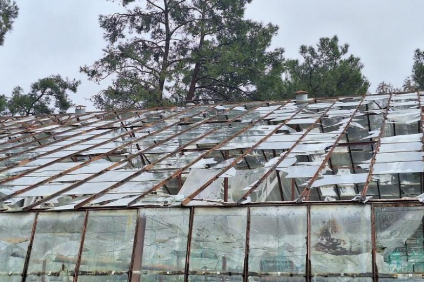 TARSİM’DEN ANTALYA’YA 586 MİLYON LİRALIK DESTEK