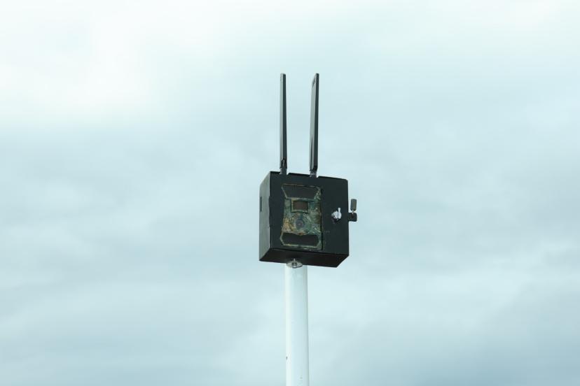 AKSU’DA KAÇAK DÖKÜME FOTOKAPANLI TAKİP