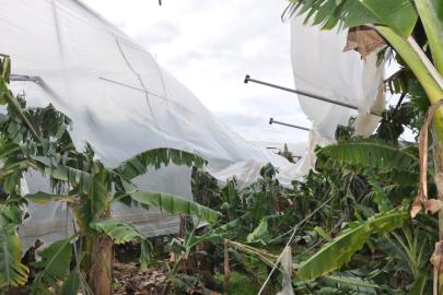 SİLİFKE’DE DOĞA TARIMI VURDU