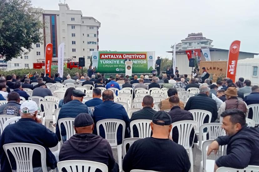 ALANYA’DA KEÇİBOYNUZUNA 5 BİN FİDANLIK DESTEK