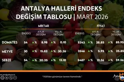 HALDE FİYAT DALGASI: DOMATES ZİRVEDE