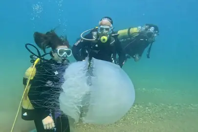 ANTALYA KIYILARINDA DENİZANASI ALARMI SONA ERDİ