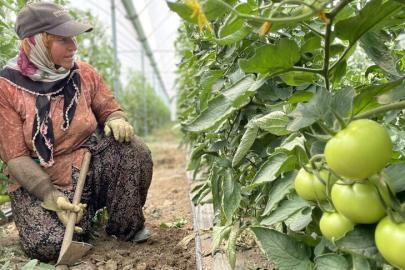 ANTALYA TARIMDA ZİRVEYİ BIRAKMIYOR