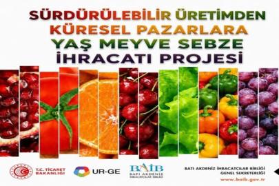 BATI AKDENİZ İHRACATINDA YENİ KÜRESEL HAMLE