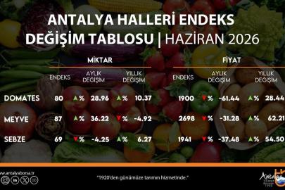 HAZİRAN AYI HAL ENDEKSİ AÇIKLANDI
