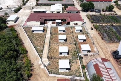 SERİK'TE CAN DOSTLARINA MODERN YUVA