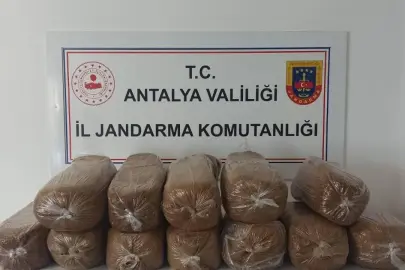 ANTALYA’DA 3 İLÇEDE KAÇAK TÜTÜN OPERASYONU