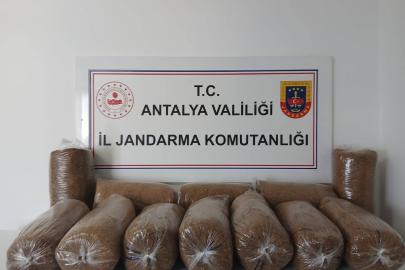 JANDARMADAN KAÇAK TÜTÜN OPERASYONU