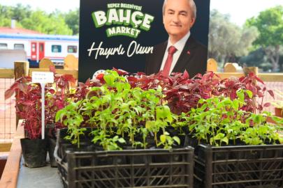 KEPEZ’DE UYGUN FİDAN İÇİN YENİ ADRES