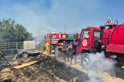 MANAVGAT’TA ANTİK KENTE YAKIN ZEYTİNLİKTE YANGIN