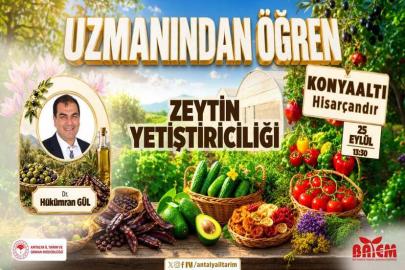 ANTALYA KONYAALTI’DA ÜRETİCİLERE ZEYTİN EĞİTİMİ
