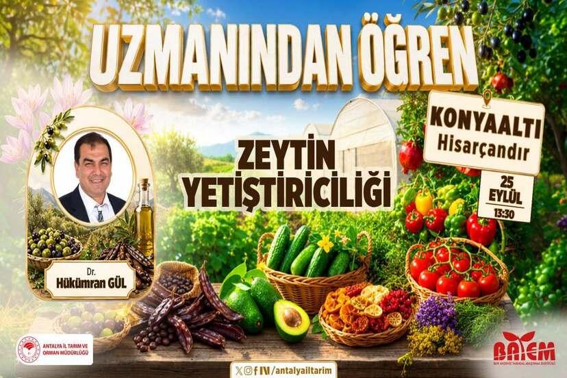 ANTALYA KONYAALTI’DA ÜRETİCİLERE ZEYTİN EĞİTİMİ