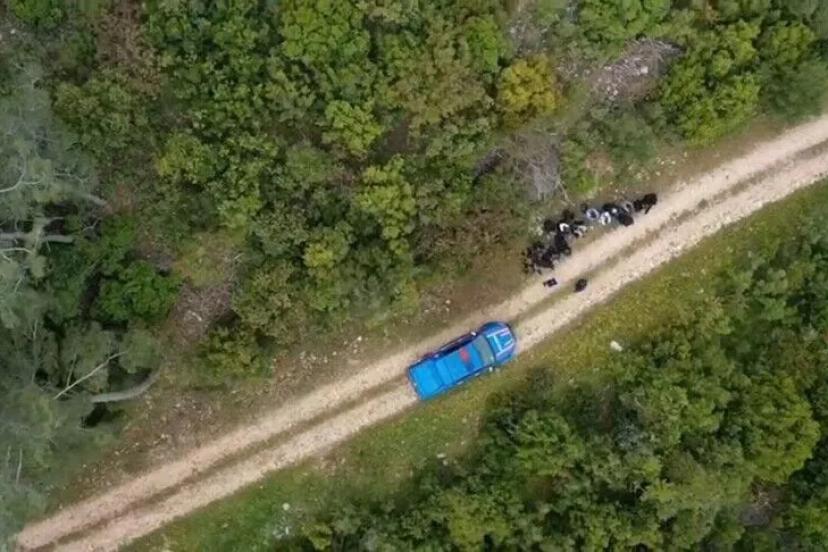 33 İLDE GÖÇMEN KAÇAKÇILIĞINA DARBE