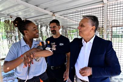 ANTALYA’DA ENKAZLAR İÇİN YENİ UMUT: KAHRAMAN FARELER GÖREVE HAZIRLANIYOR