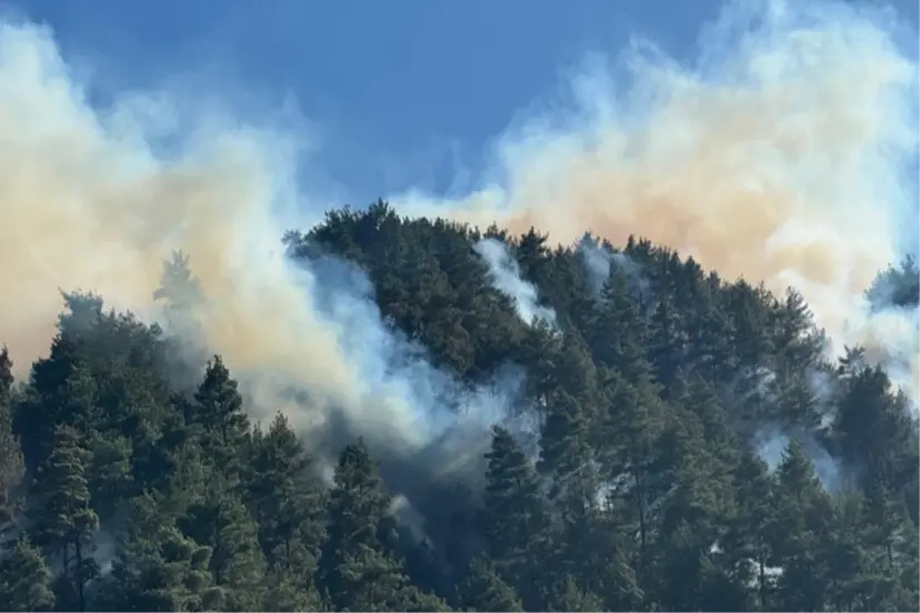 5 İLDE ORMAN YANGINI