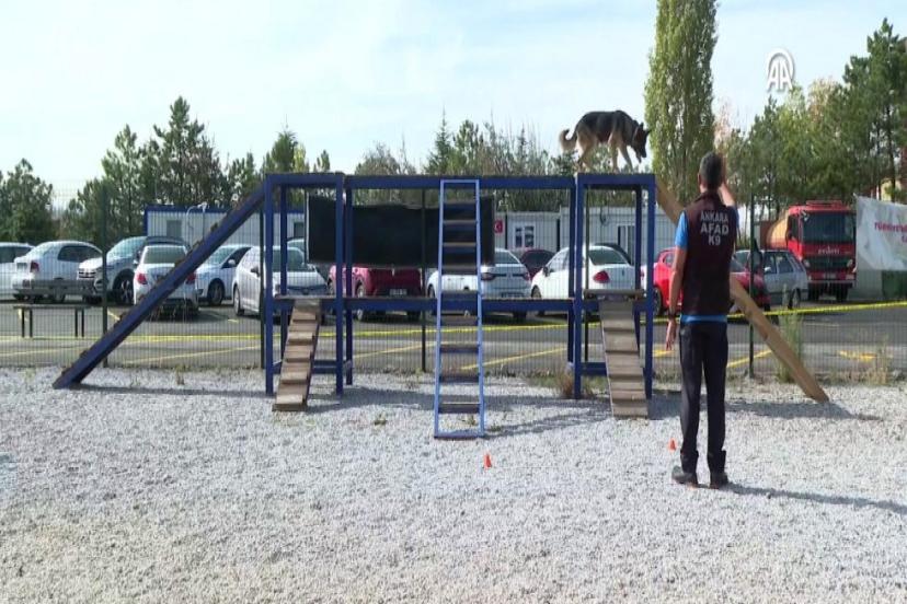 AFETLERİN HASSAS BURUNLARI CAN KURTARMAK İÇİN EĞİTİM ALIYOR