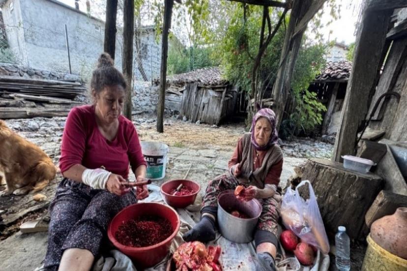 AKSEKİ KADINLARINDAN DOĞAL NAR EKŞİSİ GELENEĞİ