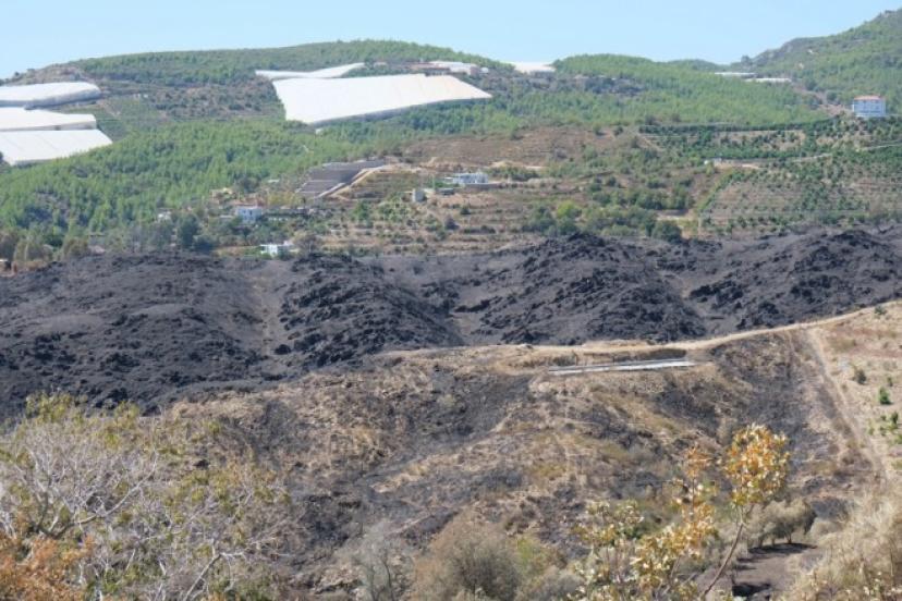ALANYA’DA ORMANLAR KÜLE DÖNDÜ: 1350 HEKTAR YANDI