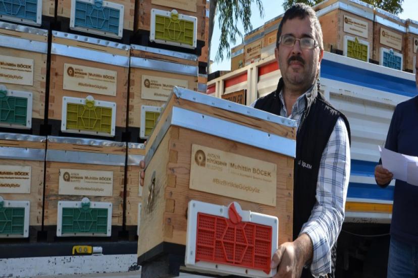 ALANYALI BAL ÜRETİCİLERİNE ARI KOVAN DESTEĞİ