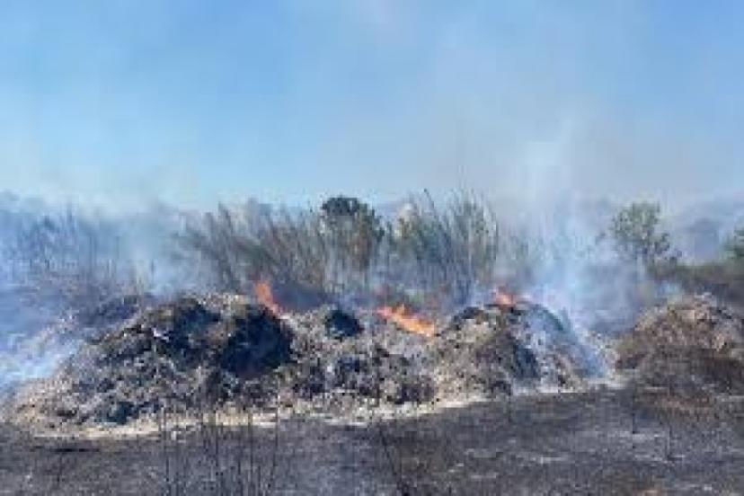 ANTALYA KIRCAMİ’DE ALEV DEHŞETİ: MAHALLE TAHLİYE EDİLDİ!
