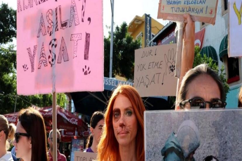 ANTALYA ONLAR İÇİN AYAĞA KALKTI