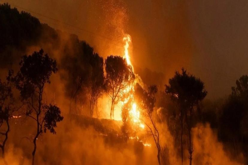 ANTALYA SERİK'TE ORMAN YANGINI KONTROL ALTINA ALINDI