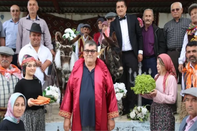 ANTALYA'DA EŞEKLERE DÜĞÜN YAPTILAR