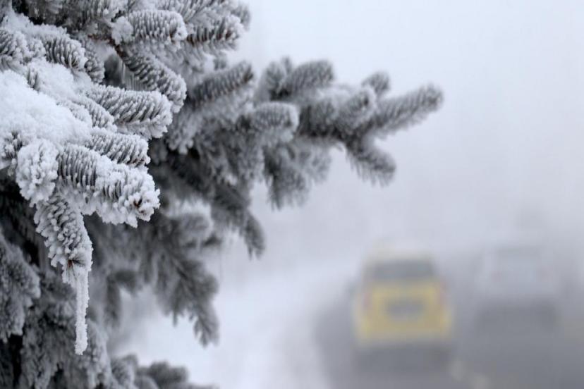 ARALIKTA ERZURUM KIŞI, KASTAMONU YAZI YAŞADI