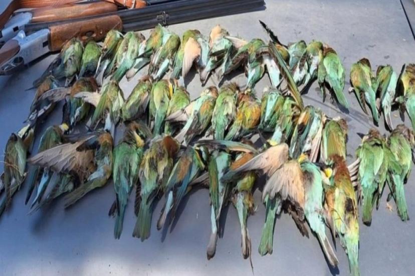 ARI KUŞLARINI AVLAYAN 2 KİŞİYE 84 BİN 14 LİRA CEZA KESİLDİ