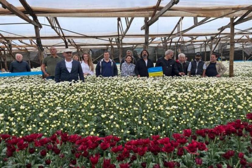 ATB KESME ÇİÇEK SEKTÖRÜYLE KENYA'DA 