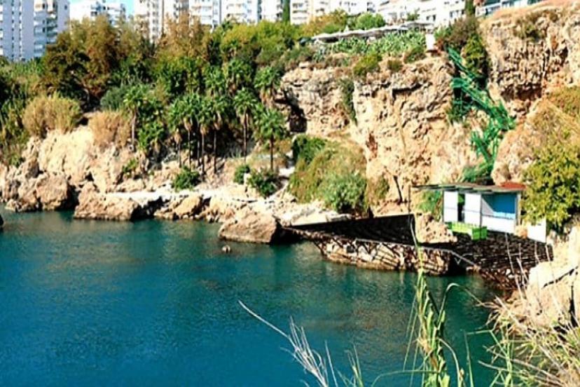 BAMBUS SİYASET ÜSTÜDÜR...