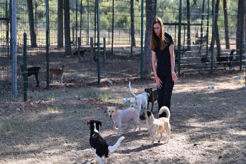 BÜYÜKŞEHİR PATİLİ DOSTLARI SAHİPSİZ BIRAKMIYOR