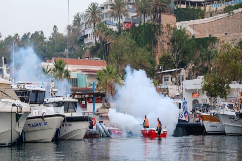 BÜYÜKŞEHİR SİVRİYLE HER ALANDA MÜCADELE  EDİYOR