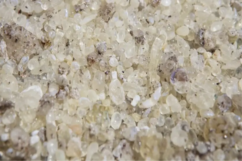 ÇEŞME DAMLA SAKIZI TESCİLLENDİ