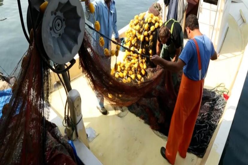 DENİZLERDE AV YASAĞI BAŞLIYOR 