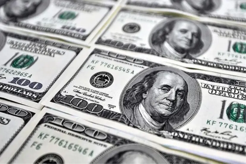 DOLAR REZERVLERİNDE DÜŞÜŞ, ALTINDA ARTIŞ